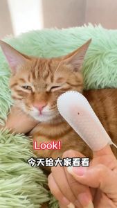 Tissue Jari Pembersih Gigi Anjing Kucing Pet Dental Wipes Isi 38pcs Sikat Gigi Kucing Pembersih Gigi Anjing Sikat Gigi Anjing