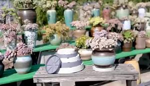 Flowerpot Base Plate Home Garden Thickened Flower Pot Heavy Duty Resin Tray Saucers Drip Trays Indoor Outdoor Plant Saucer