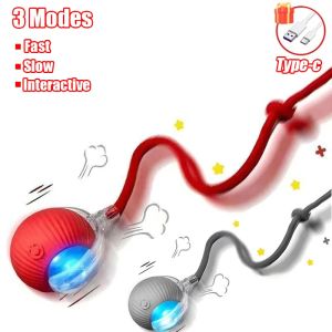 Cat Interactive Ball Toy Automatic Rolling Ball Faux Tail Rechargeable Smart Pet Electric Toy Dog Cat Training Imitate Mouse