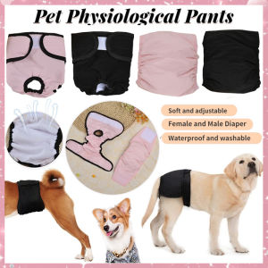 Comfortable Dog Diapers: A Guide to Keeping Your Pet Healthy