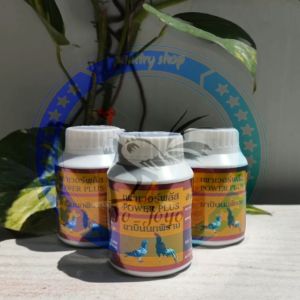 POWER PLUS meningkatkan pukulan dan power ayam