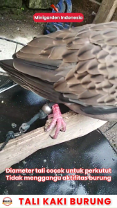 TALI KAKI BURUNG ikat kaki latih pengikat derkuku perkutut tekukur