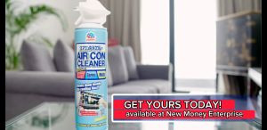 AIRCON CLEANER (Earth Brand) 420mL for Split Type and Window Type Aircons Removes Odors Germs Molds