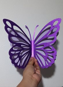 2D butterfly