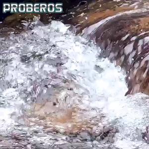 Bộ Mồi Câu Kim Loại Proberos 5 Chiếc Trọng Lượng 14g 21g 30g Câu Rê Mồi Cứng Dành Cho Cá Đen Cá Hồi Câu Jigging Câu Biển Sông Bãi Biển.