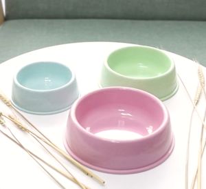 Chén ăn cho Chó Mèo bằng rơm lúa mì và nhựa PP (mẫu mới) - Hara Pet Store