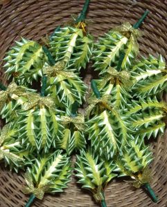 เหรียญโปรยทานลูกทุเรียน  20 ลูก ตัวเปล่า