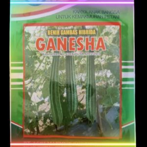 Benih Gambas Oyong GANESHA 10gr Pertiwi