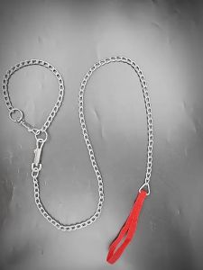 dây xích và dây dắt vòng cổ đủ size cho chó mèo - T3 PETS SHOP