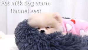 2023 เสื้อฮู้ดอุ่น เสื้อลายการ์ตูน สำหรับสัตว์เลี้ยง คริสต์มาส หมา แมว กระต่าย โค้ท ราคาที่น่าใช้จ่าย #A071