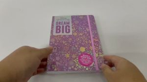 Disney Princess Illustrated Dream Big 200 Pages Journal with Weekly Planner For Kids to Organize Their Schedule