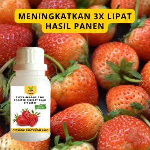 Pupuk Stroberi Cepat Berbuah / Pupuk Pelebat Buah Stroberi / Pupuk Booster Stroberi Cair