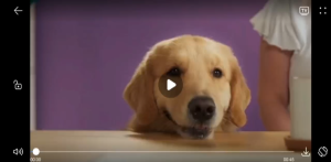 Brother SP1 Sublimation Printer