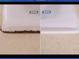 🔥กันน้ำ10ปีไม่หลุด ซิลิโคน 300g ใส/ขาว กาวซิลิโคน อุดรอยรั่ว กันน้ำซึม ปืนยิงกาว ไม่กัดผิวกระจก ซิลิโคนยาแนว silicone seala