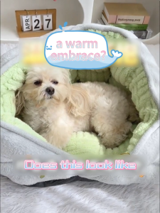 All Season Dog Bed Semi Enclosed Small Medium Dog Sofa Bed Autumn Winter Warm Thickened Pet Cat Bed Pet Supplies