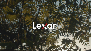 Lexar 1TB / 512GB / 256 GB MicroSDXC UHS-I Class 10 Memory Card - 150MB/s Read 30MB/s Write 4K UHD & Full HD Video