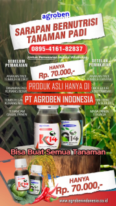 K14 AGROBEN 250 ML /g14 dan k14/pupuk organik cair/obat perangsang buah/pupuk perangsang buah/obat pertanian/pembesar umbi k14/obat pembesar buah/pupuk bunga dan tanaman/pupuk buah super lebat//pupuk kalium cair paket 4 botol