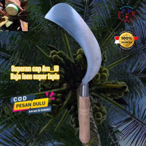 Am19 Superan Sabit penderesan sadap kelapa baja isen lapis 3 jumbo (DGARB)