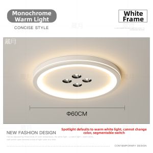 Modern Simple Design LED Ceiling Light for Bedroom Living Room Dining Room