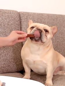 Dental Sticks Anjing 210g Snack Anjing Pembersih Gigi Nutrisi Molar Stick Dog Treat