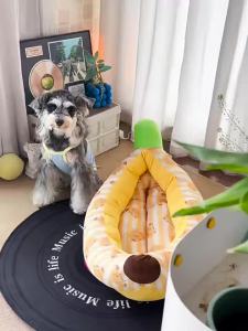 hipidog | Giường Cho Chó Dùng Quanh Năm Có Thể Giặt