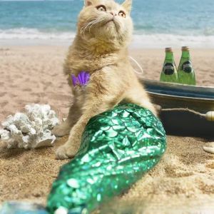 Pet Fish Tail Costume Lightweight Summer Princess Style Doggy Photo Shoot Prop Funny Pet Cat Mermaid Tail Clothing