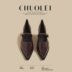 CHUOLEI | Spring New Design Mary Jane Leather Shoes