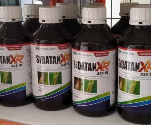 Insektisida SIDATAN XR 525 SL (1Liter)