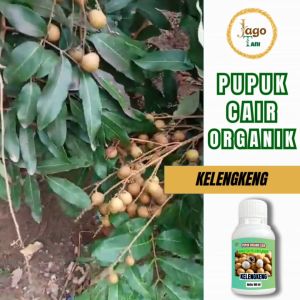 Pupuk Organik Cair Untuk Klengkeng 100 Ml Booster Nutrisi Biar Berbuah Lebat By Jagotani Yogyakarta