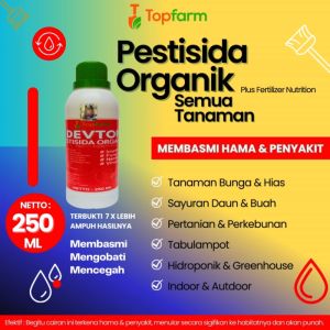 Pestisida Tanaman Terong & Perekat Pestisida Tanaman