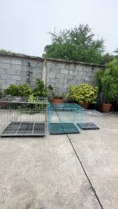 (พร้อมส่ง) กรงสัตว์ M L XL สีขาว/ฟ้า/ดำ/เงิน พับเก็บได้ น้ำหนักเบา พร้อมถาดรองสิ่งสกปรก กรงกระต่าย กรงแมว กรงหมา กรงสุนัข สำหรับนกเลิฟเบิร์ด หงส์หยก ชูก้า กระรอก