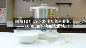 SUNATUR 10L Dough Mixer Home Commercial Automatic Kneading Machine Flour Dough Kneader Fermentation Function LY-808-10E