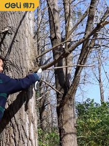 300mm Gergaji Kayu Lipat/Gergaji Lipat Portable/Lipat Gergaji/Folding Saw/Gergaji Pohon/Sk5 Lipat Cepat