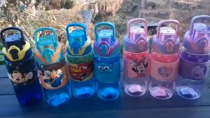 Hỏa tốc HCM Bình Nước Thể Thao Chính Hãng Disney Uống Trực Tiếp 450ML Chất Liệu Tritan Cao Cấp Và Tay Cầm Chắc Chắn