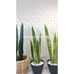 Pohon Hias Tanaman Artificial Lidah Mertua Latex Variasi Warna Pot Dasar Cover Rotan Small Keranjang Dekorasi Taman Cafe Aesthetic
