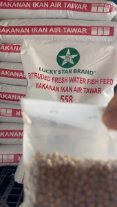 (1KG Loose Pack) Makanan Ikan Air Tawar 558 Lucky Star Brand / Loose Pack 1kg Lucky Star Brand FRESH WATER FISH FEED 558