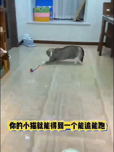 ของเล่นแมวโต้ตอบ ลูกบอลแมวอัจฉริยะ ไม้แมวตลก ของเล่นแมว บอลไฟฟ้า ลูกบอลแมว สมาร์ทไฟฟ้า หมุนได้ 360 องศา เรืองแสง /3 สี