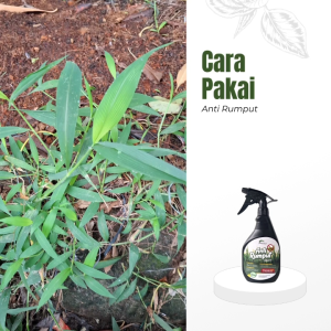 Herbisida Rumput Pembasmi Rumput Liar Organik Spray 500ml