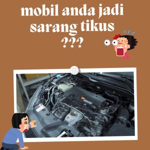 Pengusir tikus spray RATAWAY rat repellent rumah perabot kap mobil alami