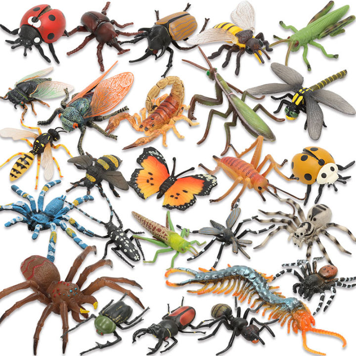 Single Simulation Animals and Insects Model Solid Grasshopper Centipede ...