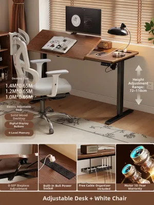 DONGMU | Electric Adjustable Flip Top Solid Wood Desk