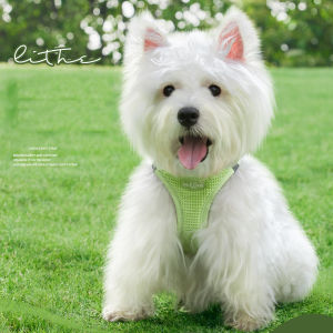 Sentexin Reflective Cat Harness Leash Set for Small Dogs Vest Chest Harness Puppy Walking Chest Strap Puppy Kitten Leash Lead