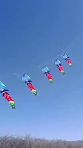 Fishbone soft kites pendant flying fish kites for adults inflatable show kites flying fish kite octopus fly dragon fishing kite