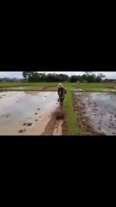 Alat penggembur tanah alat penyiang gulma TILLING HEAD