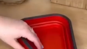 Stackable Pizza Container Microwave Safe With Tropical Climate Freshness Lock