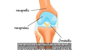 📌โปร 2แถม1⭐ centro เซ็นโทร บำรุงข้อเข่า pablo พาโบล ช่วยนอนหลับ คละสูตรได้ รวมกัน 3 กระปุก