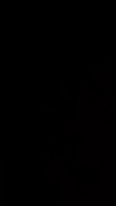 Kemeja Saja Paket Hemat Ready Usia Anak 1-8 Tahun Motif Random Sesuai Stok Terbaru Kemeja Kece