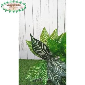 Tanaman Hias Daun Aglonema Romeo X12 Semi Latex Artificial Pajangan Rumah Dekorasi Ruangan Aesthetic