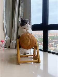 Cat Scratch and Play Ball Cat Scratcher Mat Straw Carpet Scratching Pad & Posts Play with Cat多功能猫抓球宠物逗猫棒