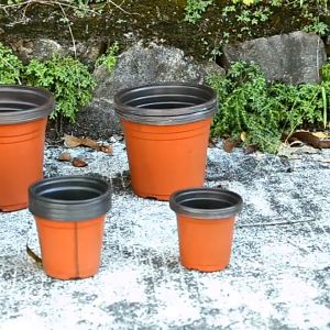 Two-color flower pot planting seedling nutrient bowl flower base nursery thickening two-color seedling pot100、50 pcs/pack